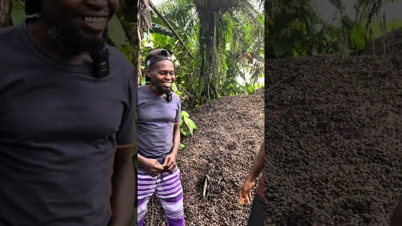 How This Nigerian Entrepreneur Makes Money from Palm Kernel