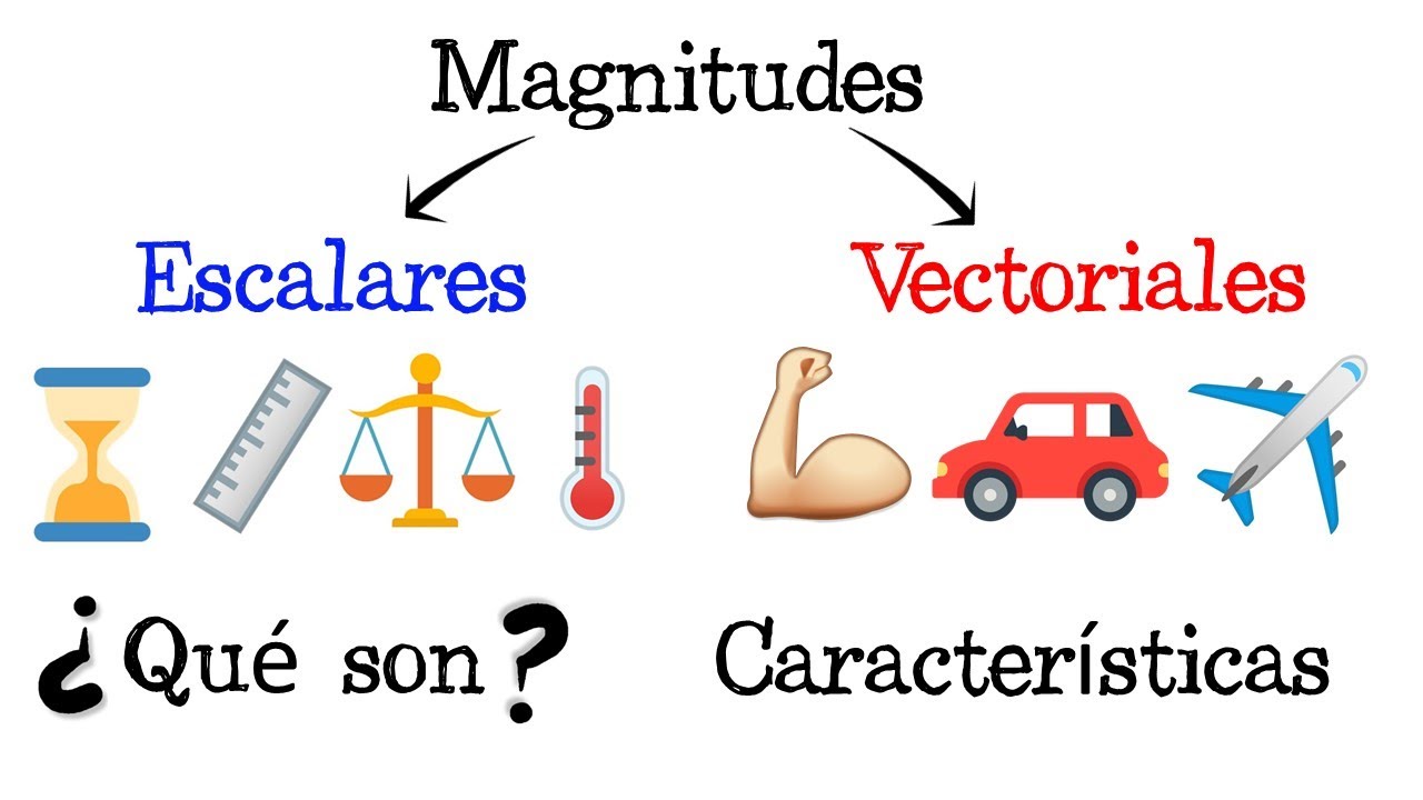 📏 Magnitudes Escalares y Magnitudes Vectoriales 💡 EJEMPLOS  [F&aacute;cil y R&aacute;pido] | F&Iacute;SICA |