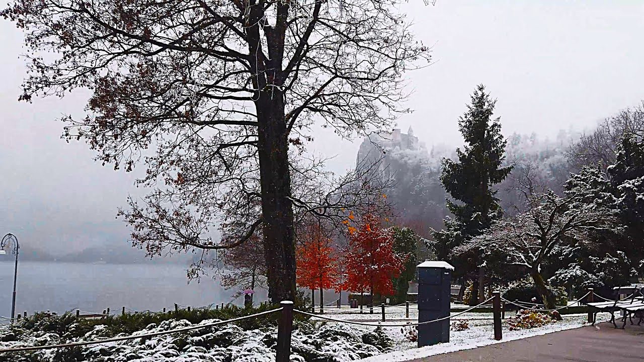 Bled First Snowfall in 2025, Slovenia - 4K Virtual Snow Walking Tour