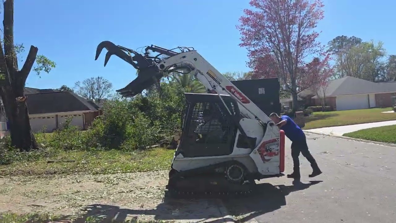 #TreeServives in #Jacksonville, FL from  #904Tree.com (904) 891-8435.