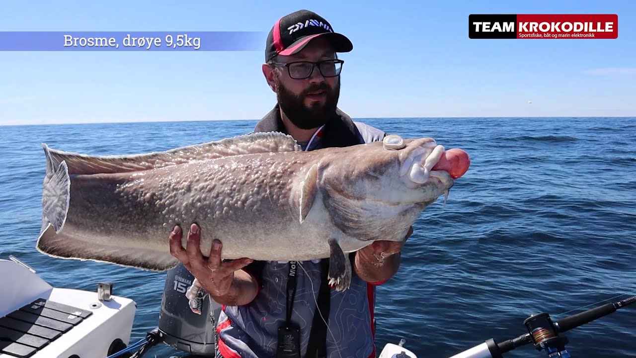 Deep drop sea fishing in Skagerrak