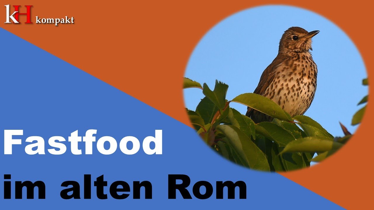 Ein unerwartetes „Fastfood“ der antiken Römer