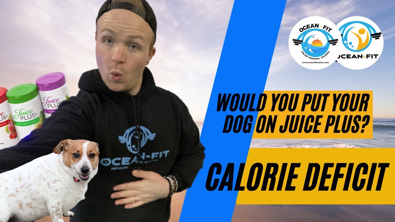 Would you put your dog on Juice Plus - Calorie Deficit