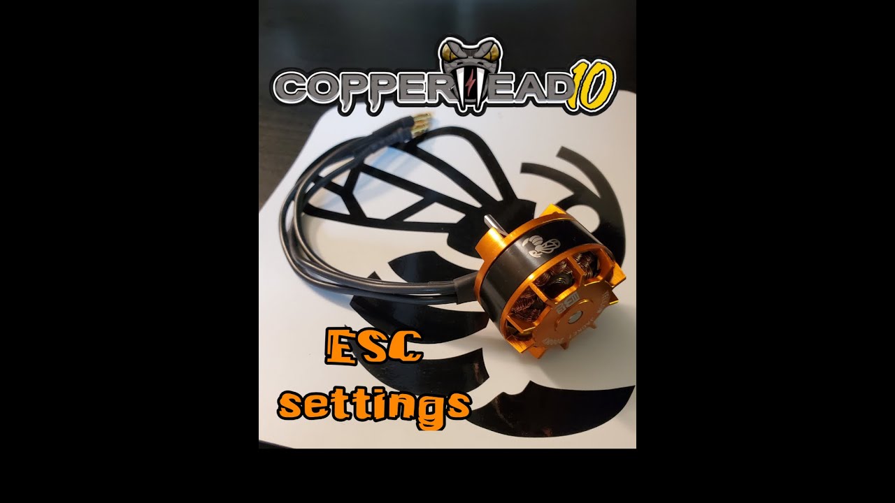Yellowjacket with Copperhead esc recommended settings.