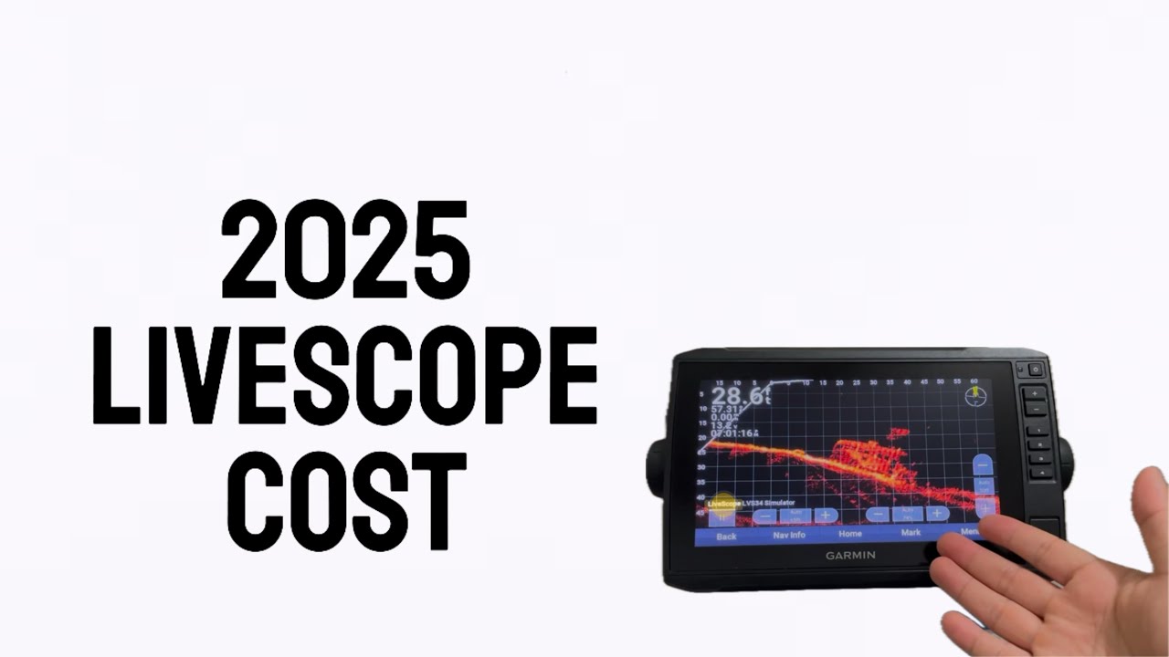 Минимальная стоимость Livescope в 2025 году