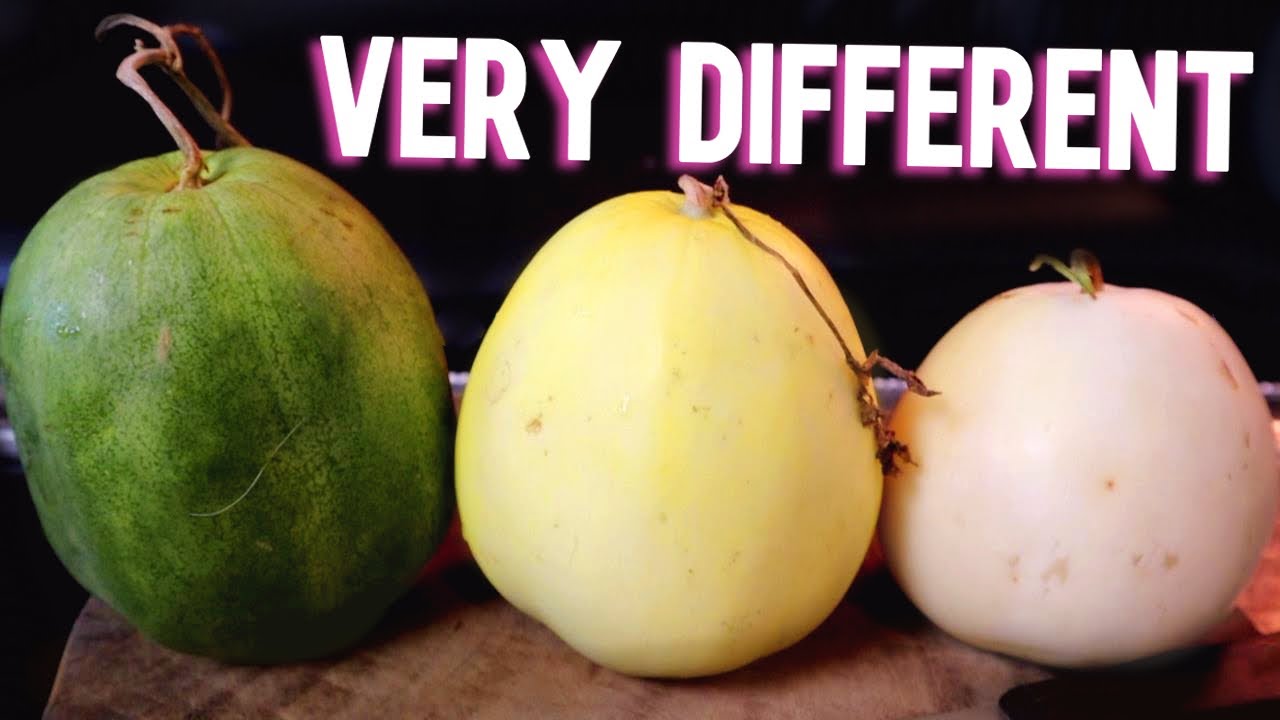 Chinese Melons Explained! - Weird Fruit Explorer