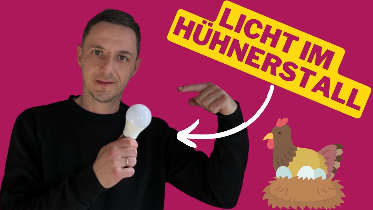 LED Licht im Hühnerstall -  Flickerfrei und ohne Stress !