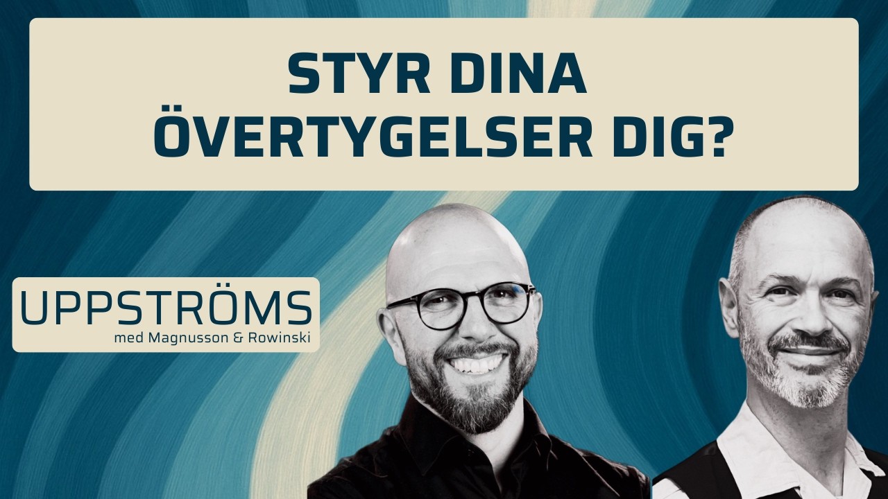 Vilket inflytande har övertygelser egentligen?
