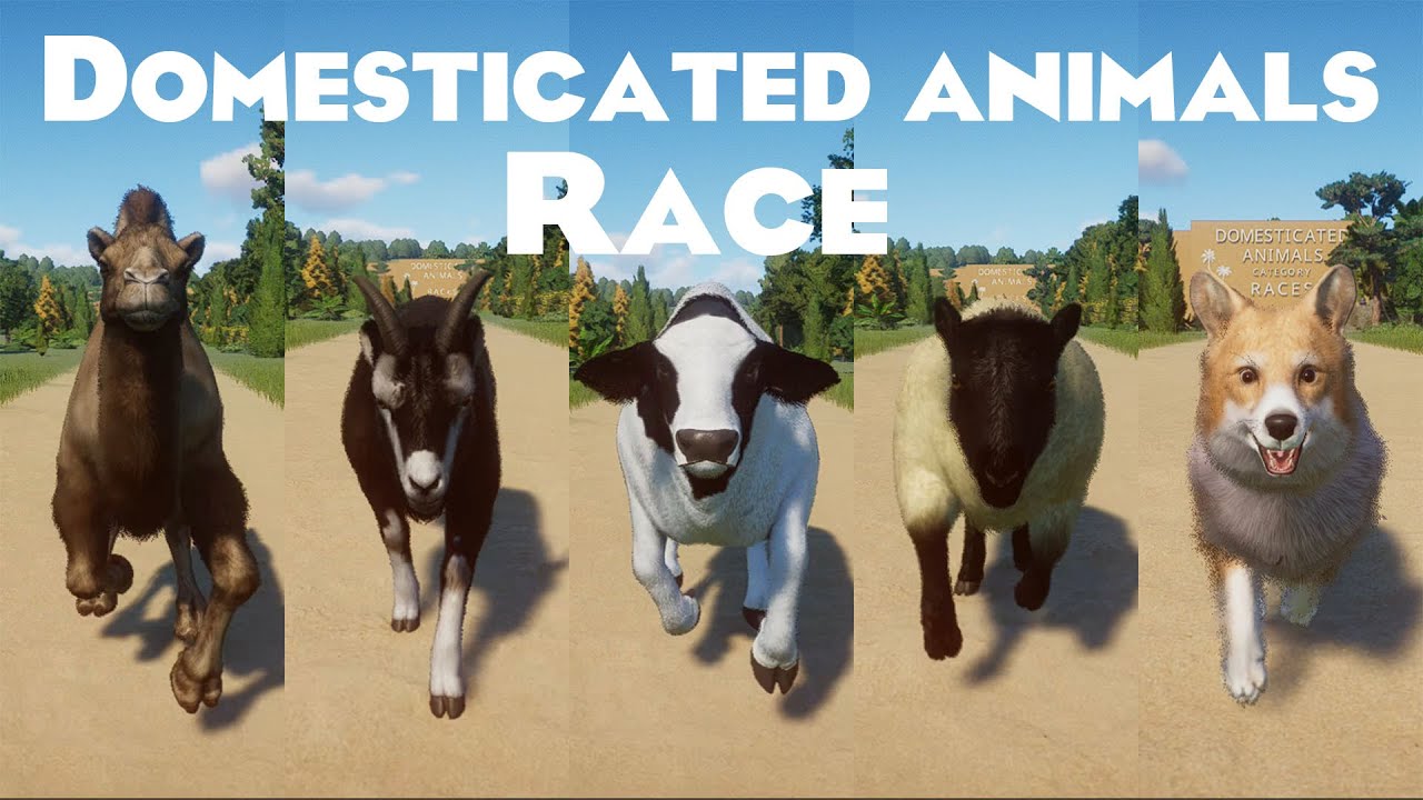 Domesticated Animals Races in Planet Zoo included Suffolk Sheep, Domestic Dog, Alpine Goat & etc
