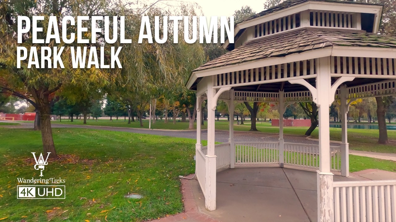 Peaceful 4K POV Autumn Park Walk — Relaxing Nature Sounds & Falling Leaves 🍂 #virtualwalk