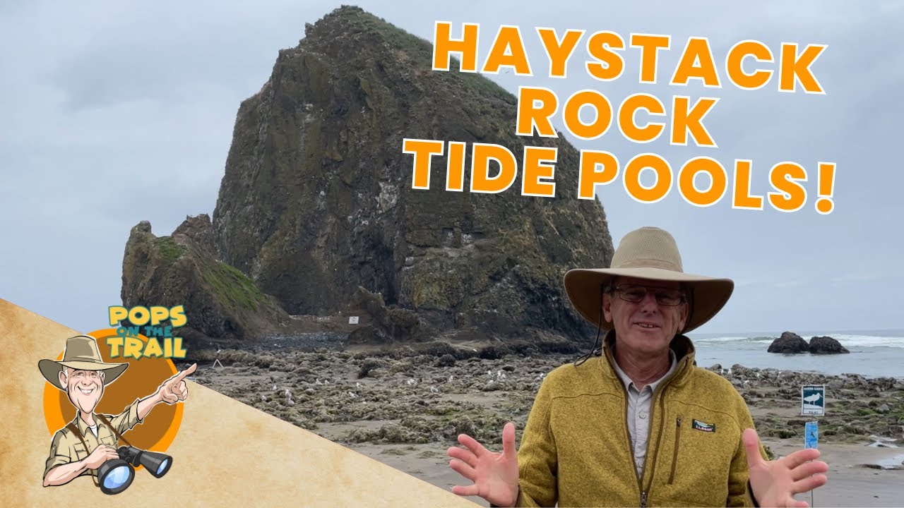 Pops on the Trail at Cannon Beach, Oregon | Haystack Rock Tide Pools | Educational Video for Kids