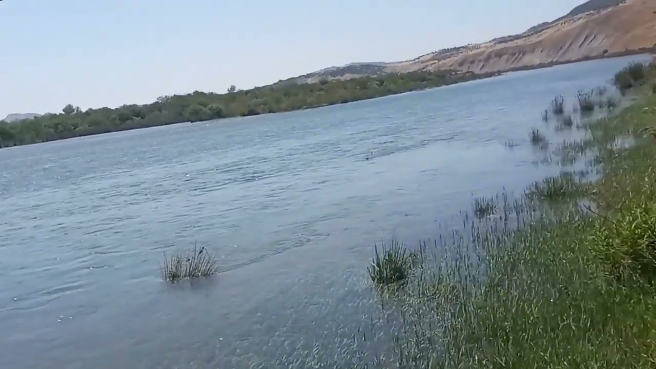 سد الوحدة