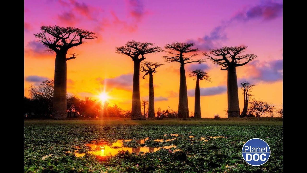 A huge nation in southeastern Africa: this is Madagascar (FULL DOCUMENTARY)