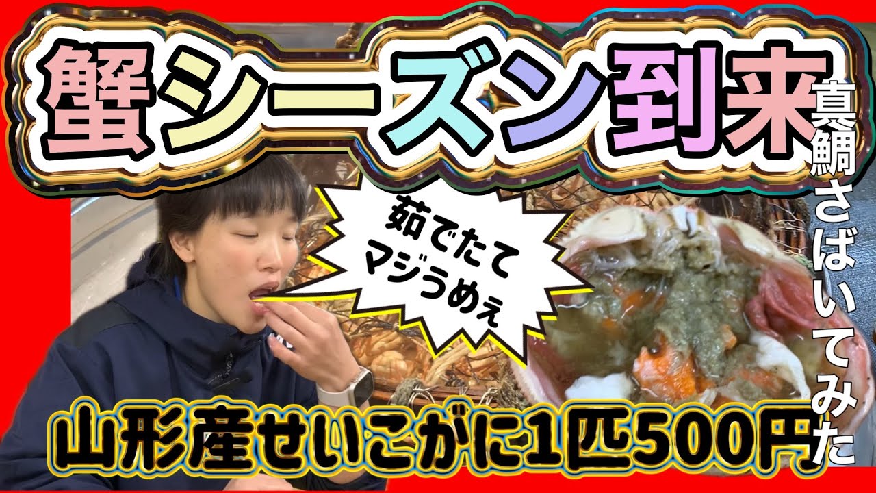 『蟹がはじまるぜぇ、山形産せいこがに1匹500円』#激安  #魚屋　#相木魚問屋 #敦賀   7/11/3