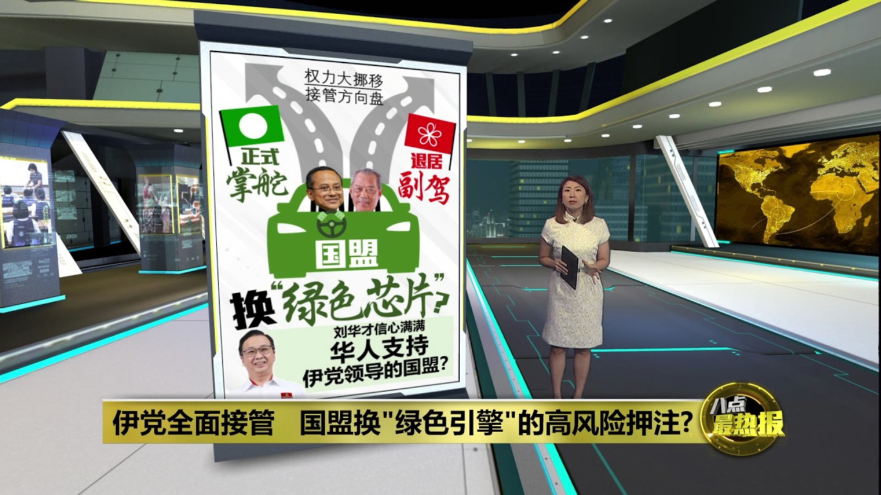 伊党全面接管   国盟换