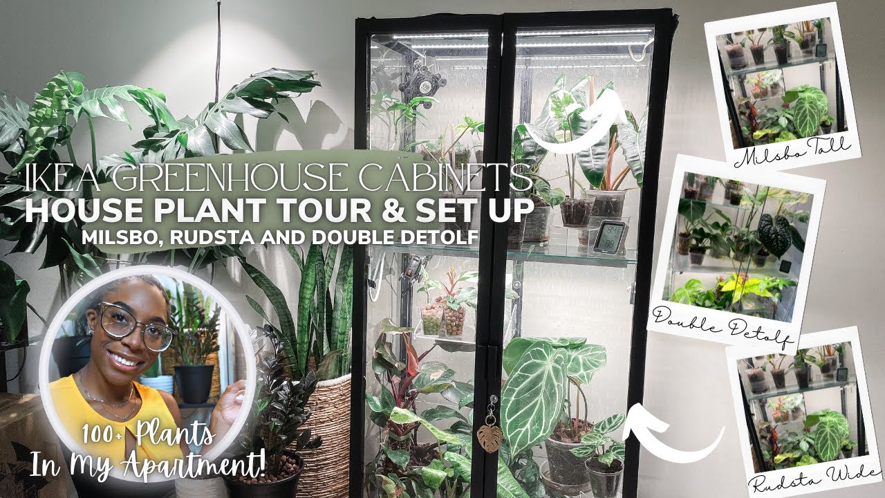 IKEA Greenhouse Cabinets Tour and Set Up | Milsbo, Rudsta and Double Detolf | House Plant Tour!