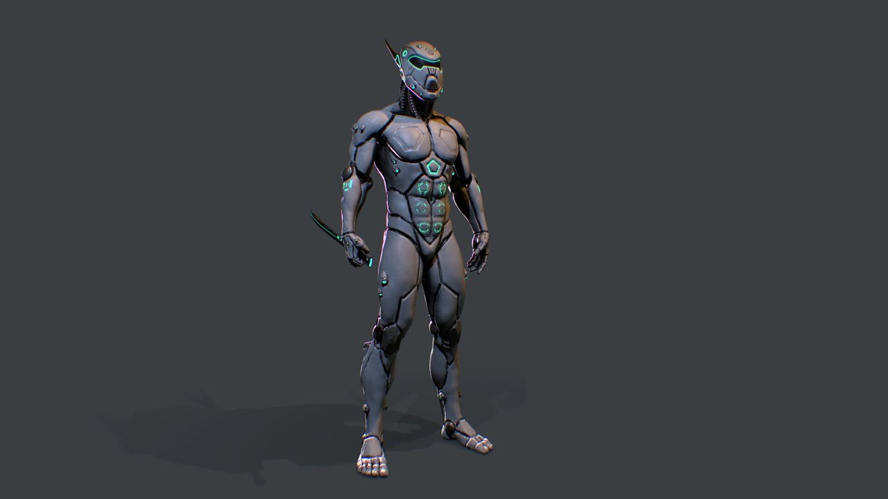 Cyber assassin