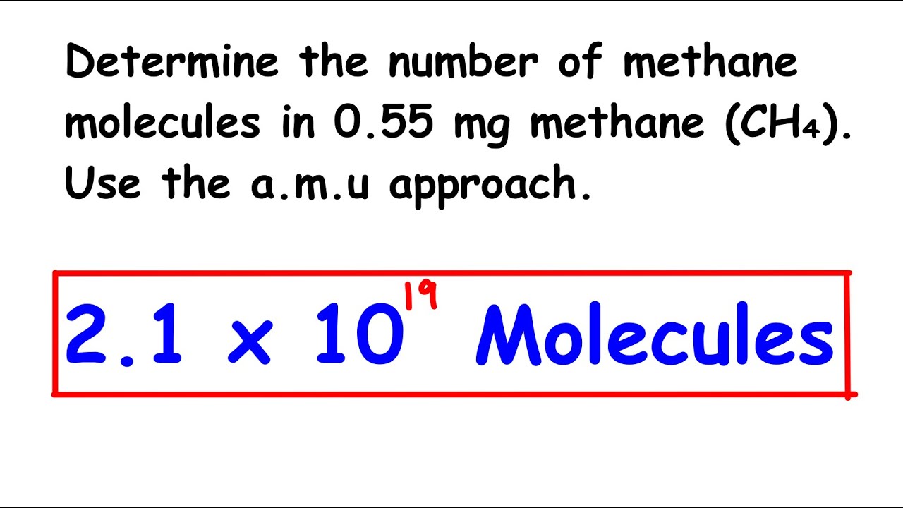 Convert Mass to number of Molecules