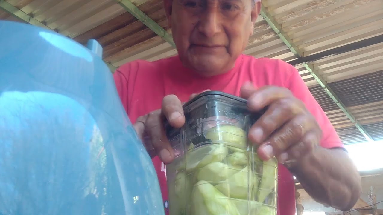 Agua de mango tierno