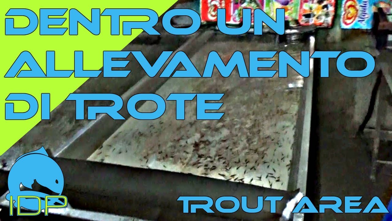 DENTRO AD UN ALLEVAMENTO DI TROTE  - I.D.P. #162 - LAGHI LE SORGENTI 3-3