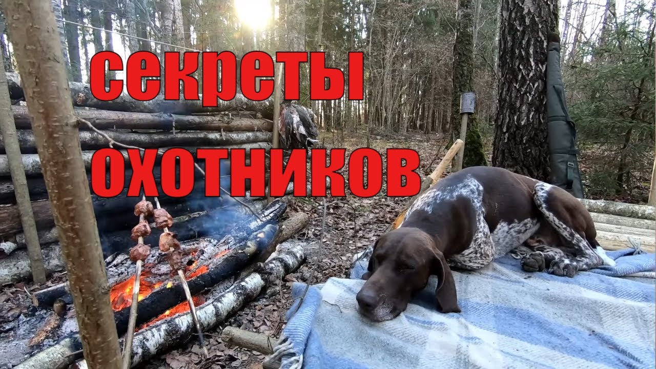 Как стрелять без промаха! I Секреты охотничьей стрельбы влет, как правильно целиться двумя глазами.