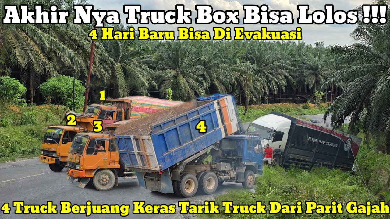 4 Hari Baru Bisa Lolos || 4 Truck Tarik Truck Box Dari Parit Gajah Dibukit Kodok