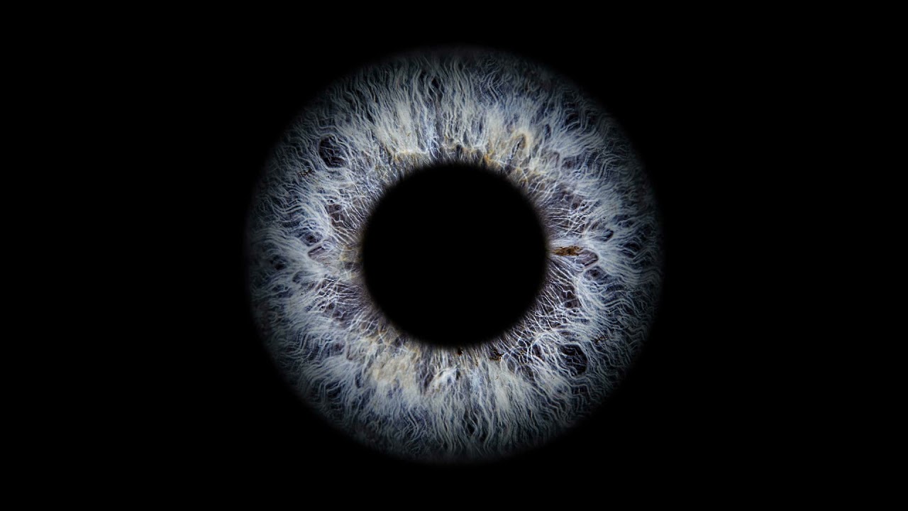 Blind From Birth V Losing your Vision