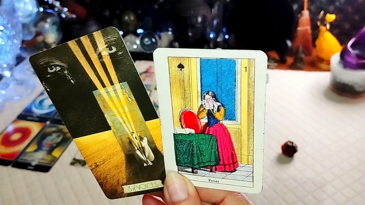 A PESSOA É MARIA VAI COM AS OUTRAS, SE LASCOU BONITO‼️#cartomante #tarologo #oraculista #tarot 