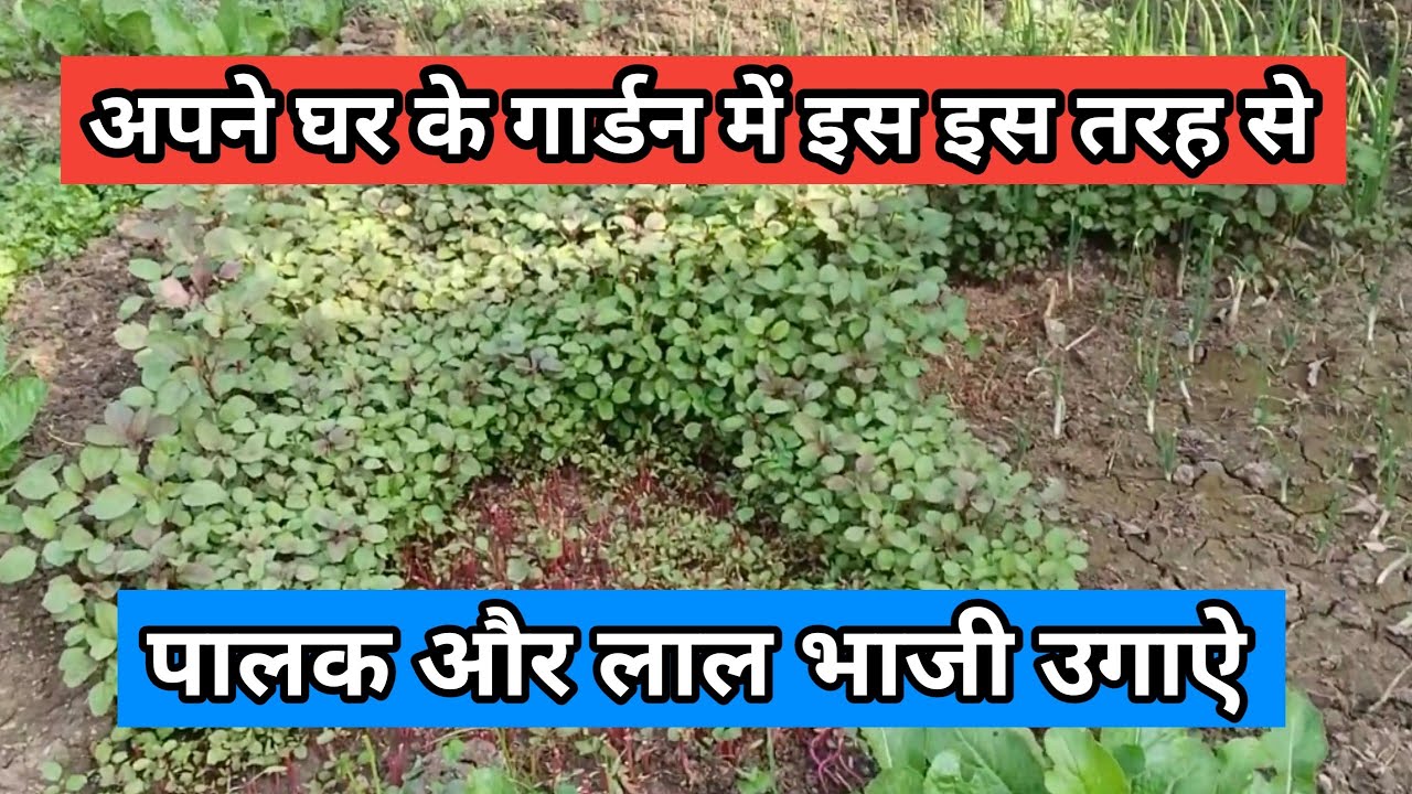 How to garden farming || गार्डन फार्मिंग के लिए कुदाल मे हैंडल Verma fabrication work
