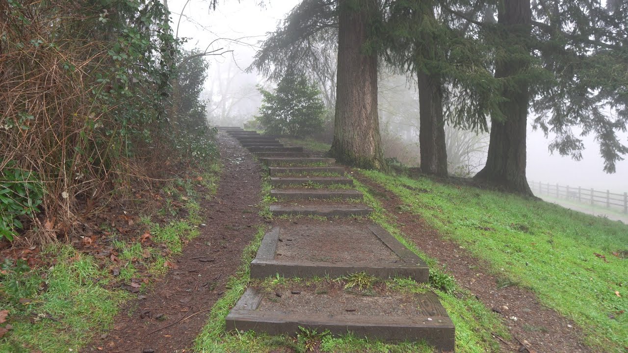 Walking at Wapato Park in the fog 4K24