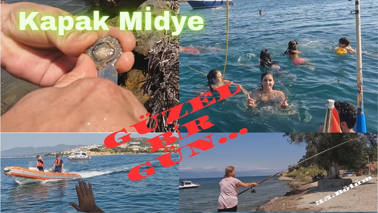 BALIK AVINA BEDAVA YEM : KAPAK MİDYE