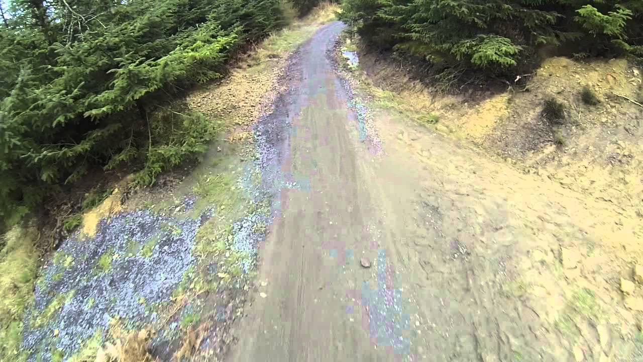 Hamsterley Section 13 downhill- Lee Kermode