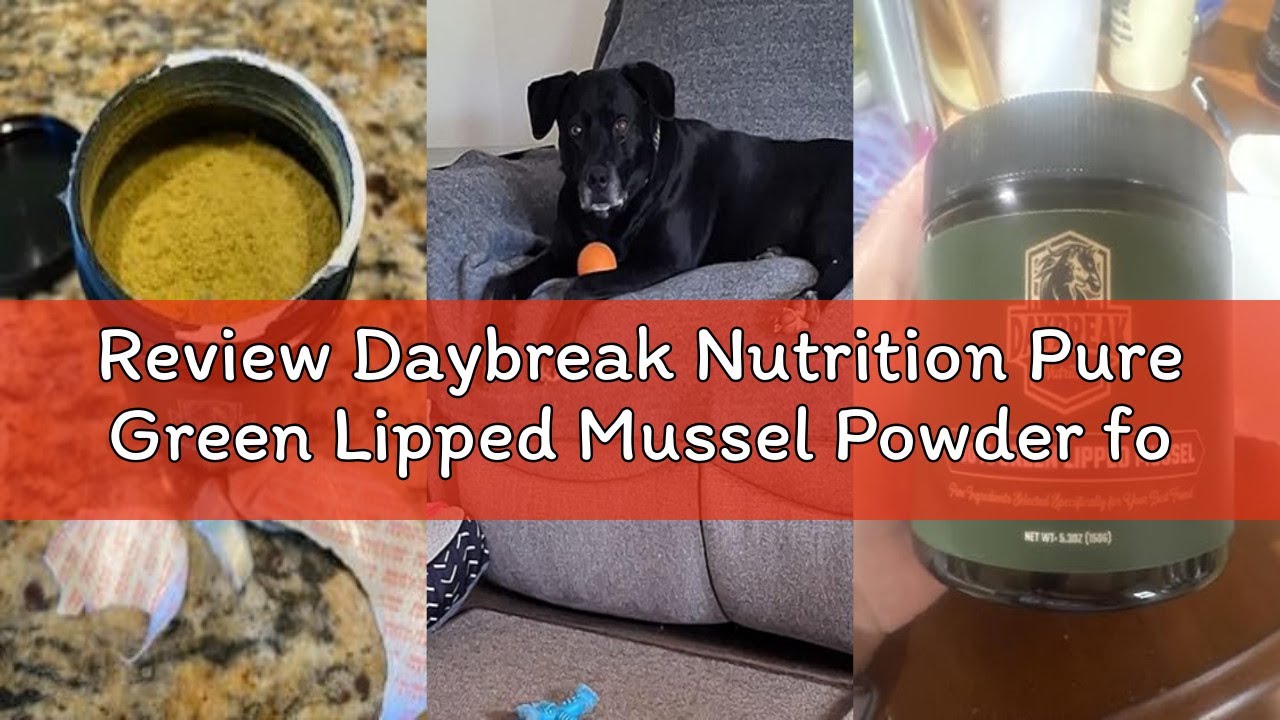 Review Daybreak Nutrition Pure Green Lipped Mussel Powder for Dogs and Cats - 100% New Zealand Green