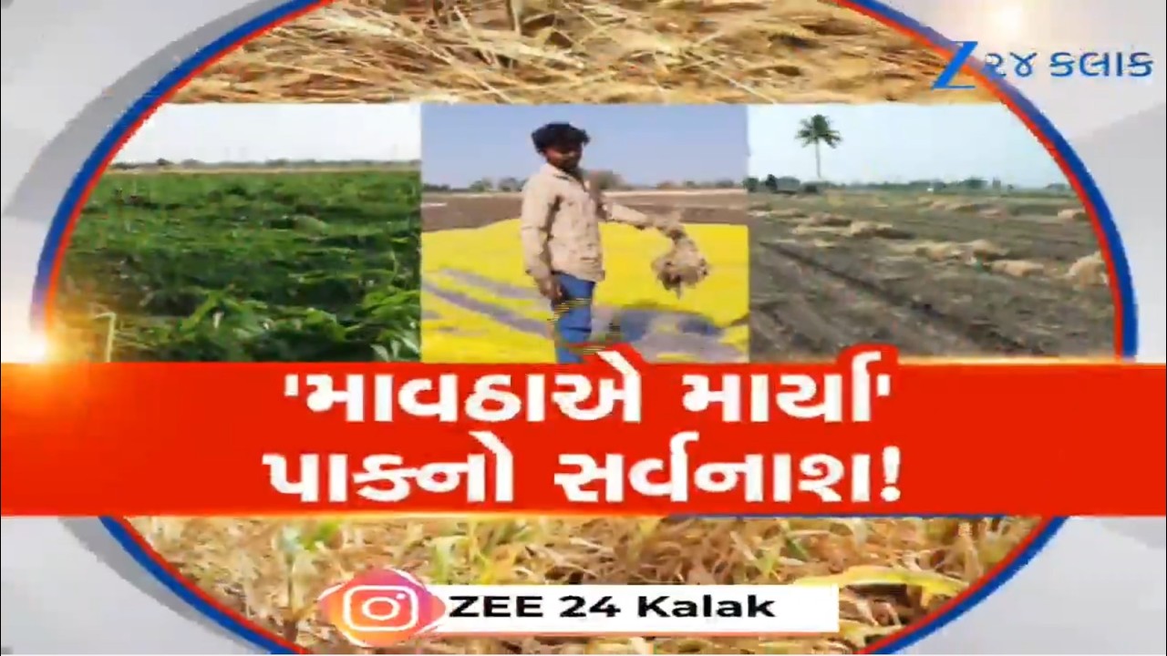વાતાવરણમાં પલટો અને મોટું નુકસાન! કમોસમી વરસાદે તોડી ખેડૂતની કમર, વરસાદ અને વાવાઝોડાએ વેર્યો વિનાશ