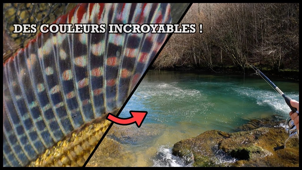 On prend un POISSON aux COULEURS INCROYABLES dans cette CASCADE ! (pêche de la truite)