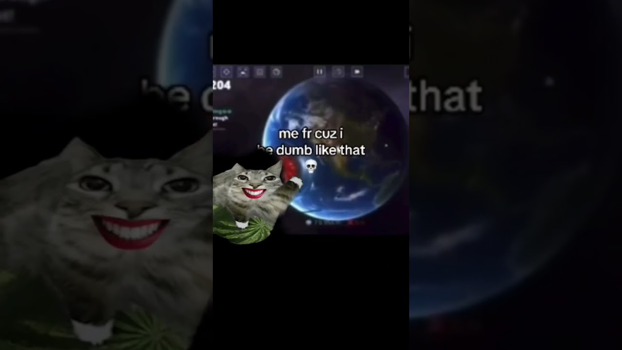 Watermelon cat is dumbas 
