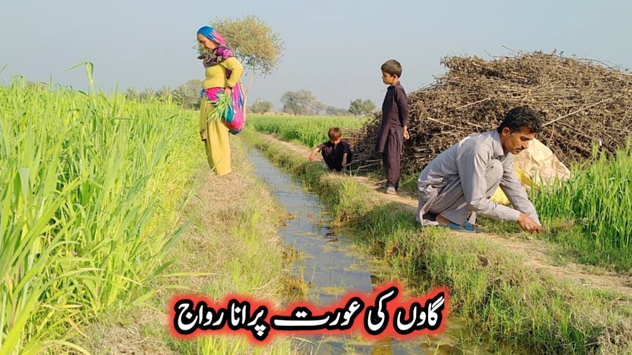 Gaon ki Aurton kay puranay rivaj |daily routine|Recipe