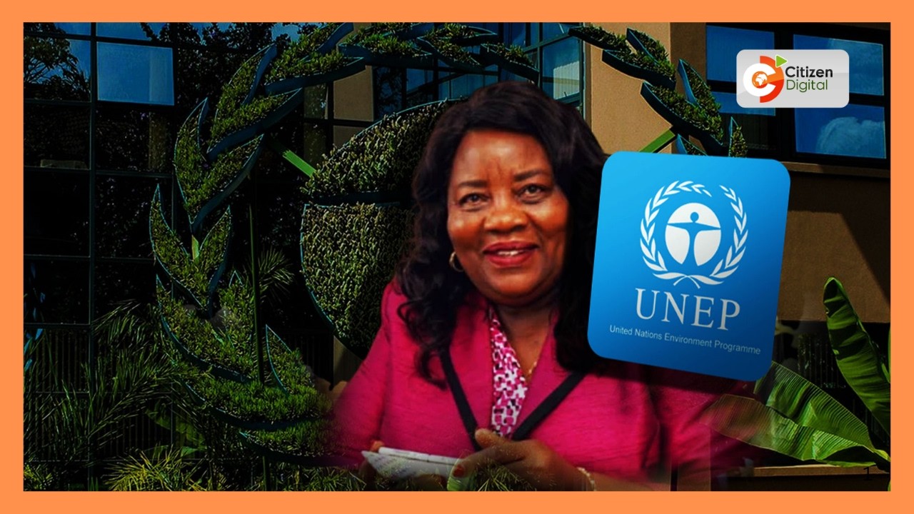 Ida Odinga reveals Sh500 million net worth ahead of UN vetting