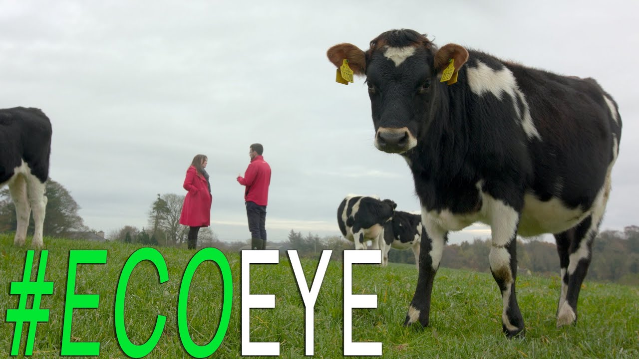 Land Matters EE18 EP2 (Part 1) What is Sustainable Agriculture?
