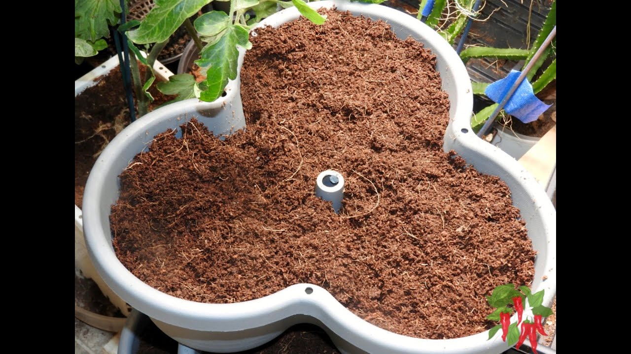 How To Use Coco Coir Bricks