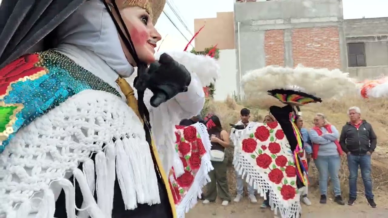 Carnaval de panzacola 14/03/26