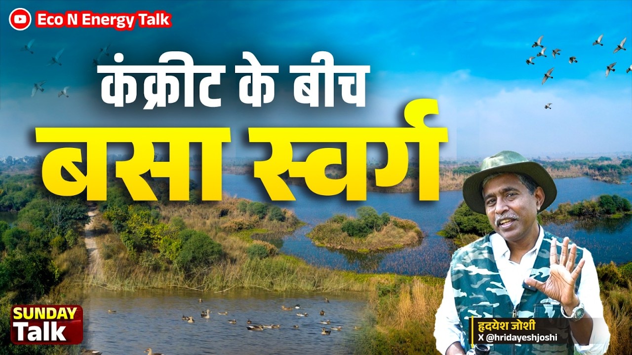 Inside Yamuna Biodiversity Park: How Scientists Saved Delhi&rsquo;s Ecosystem Eco N Energy Talk