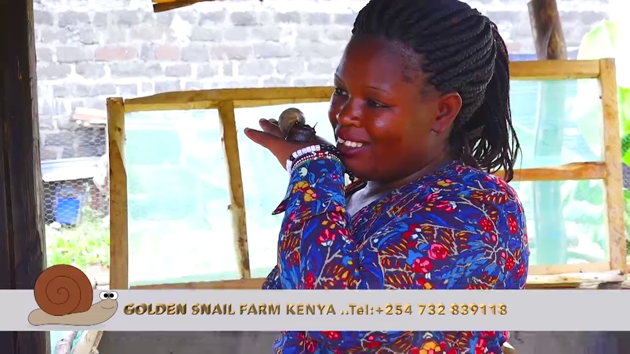 Golden Snails Farm Kenya