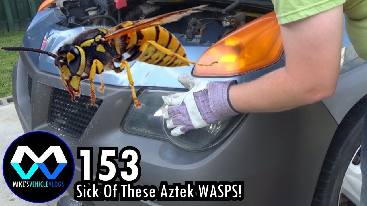 MV 153 - 