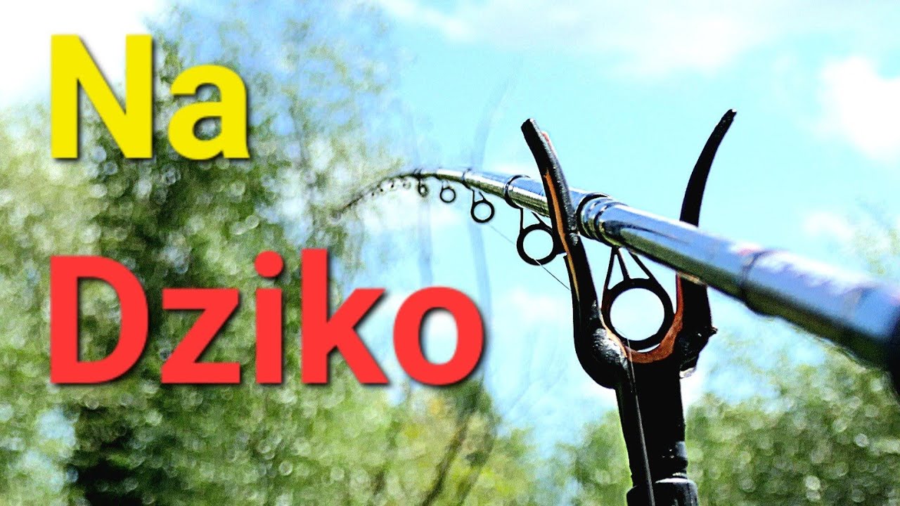 Na Dziko! Method Feeder i Bomb Feeder w krzakach  Wędkarstwo feederowe na PZW