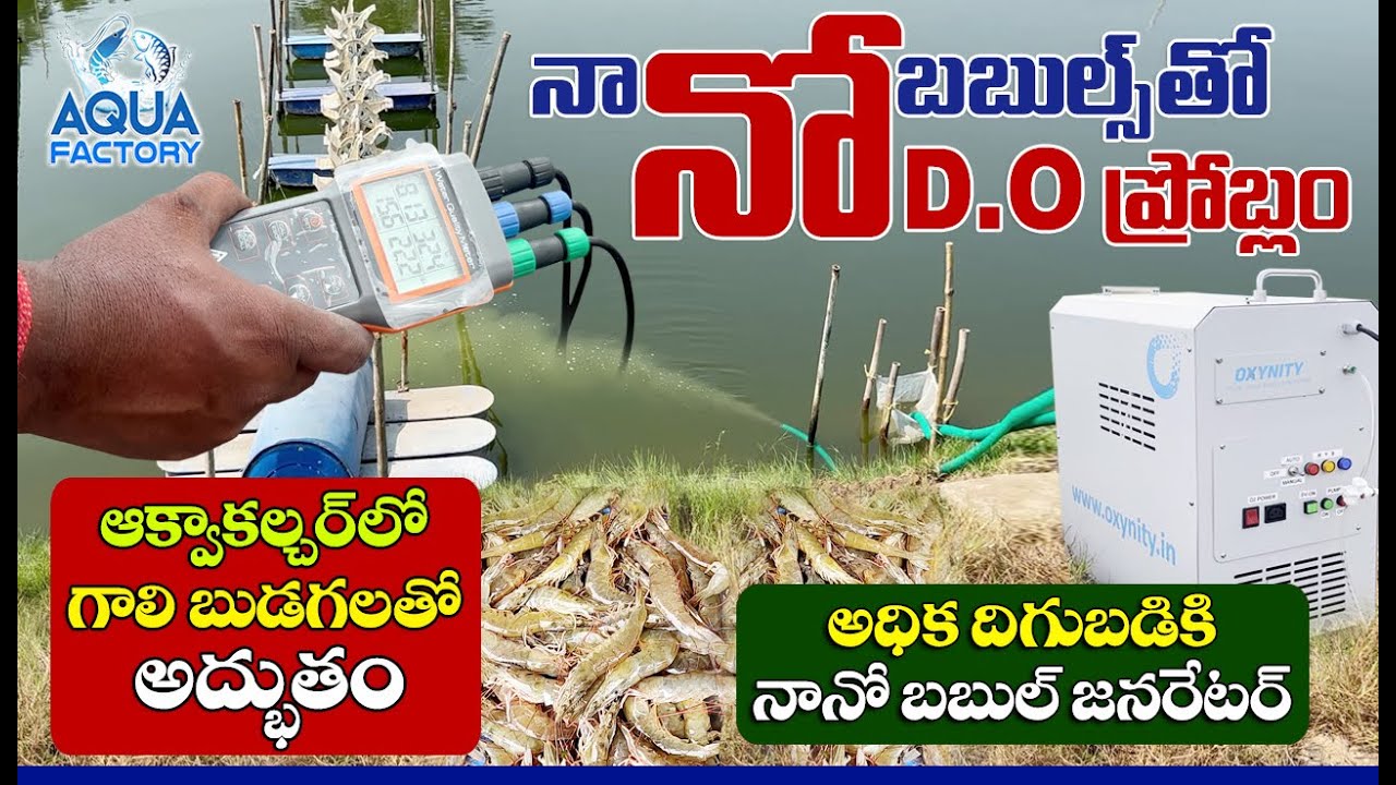 Micro NANO Bubble Generator | Vannamei Shrimp Farming | Fish Farming | Aquaculture | Aqua Factory