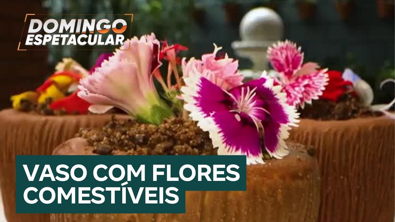 Comendo Por Aí: Conheça as delícias feitas em Holambra, a cidade das flores