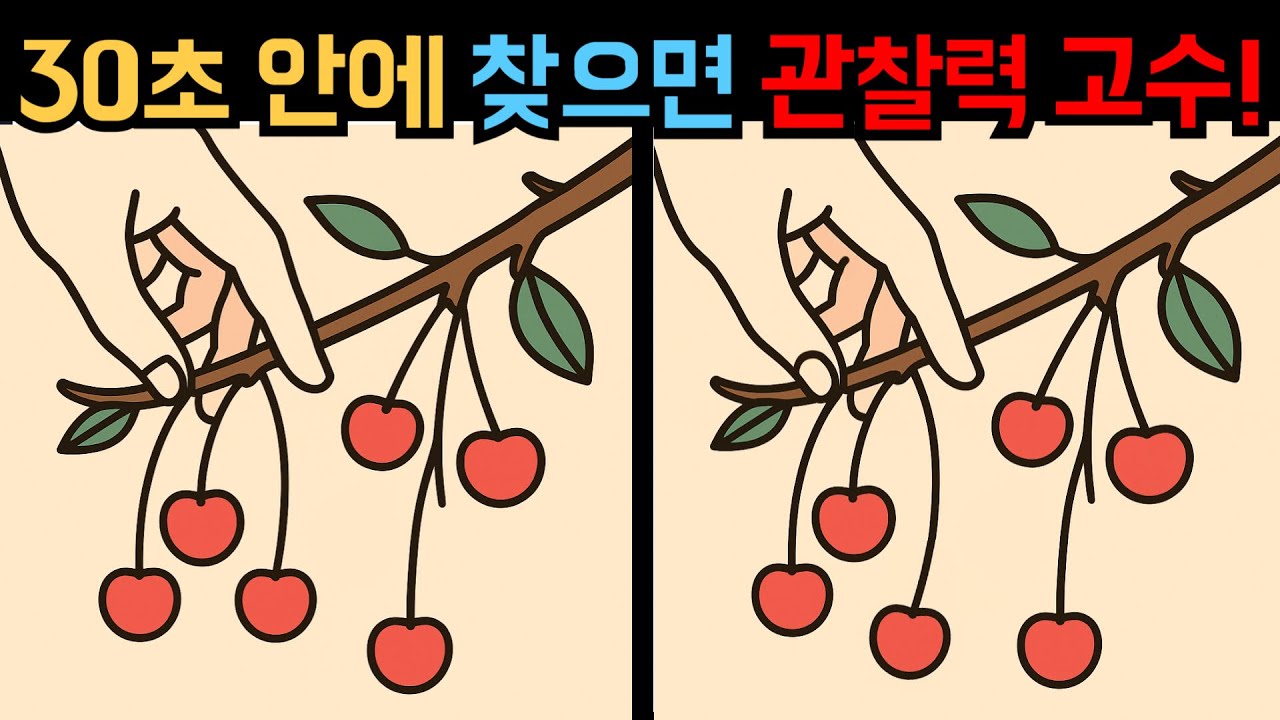 【다른그림찾기】30초 안에 찾으면 관찰력 고수!【틀린그림찾기】