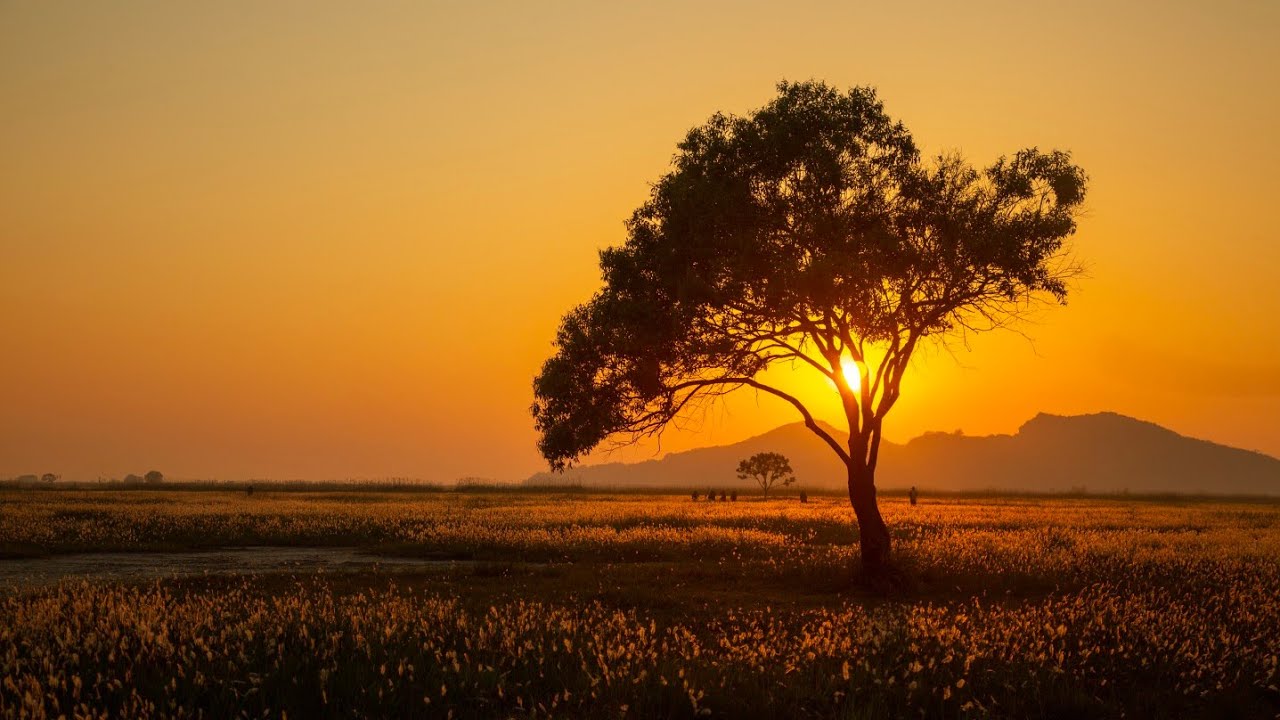 우음도,수섬 일몰  Uumdo, Sui Island sunset
