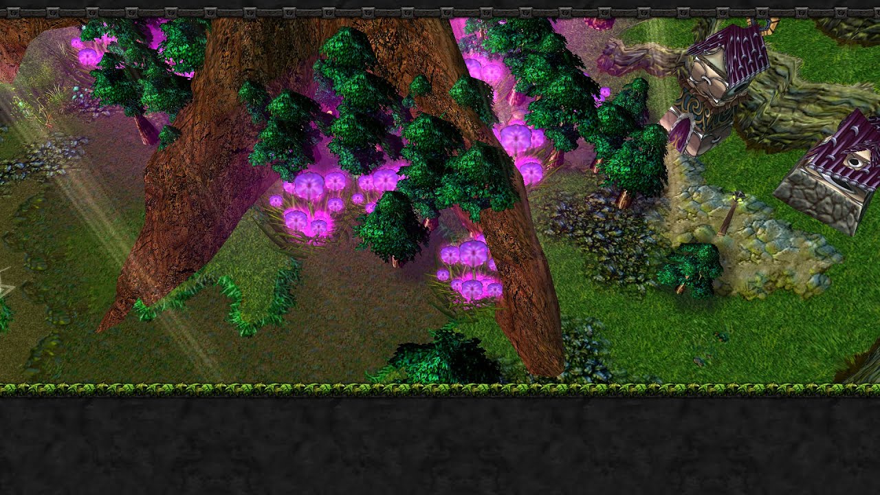 Warcraft III The Lonely Nightstar Full Gameplay by Flower Fairy